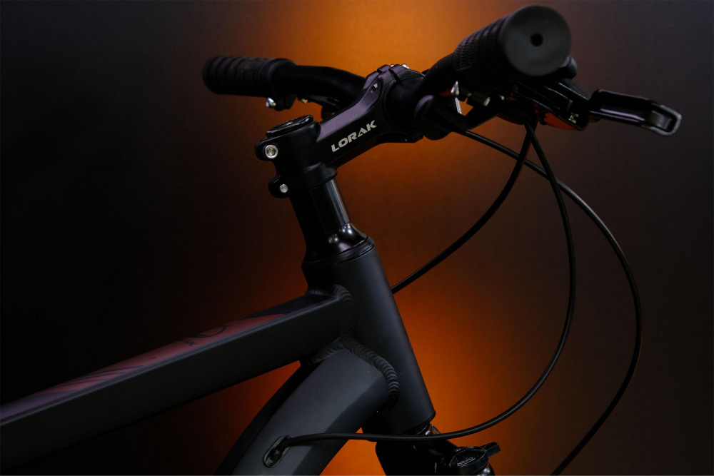 LORAK Fast Brown 29 Матовый Чёрный рама 21 (на рост 183-190)